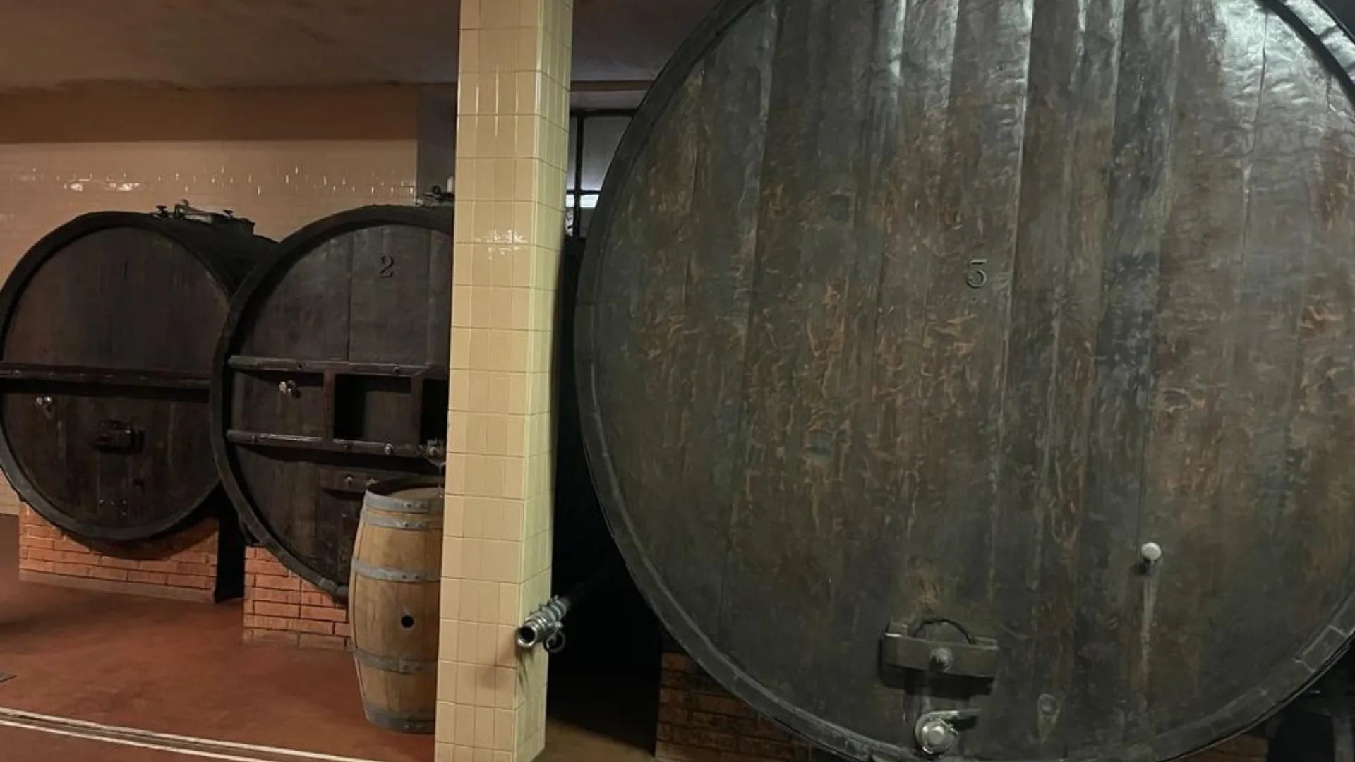 La botte e il vino