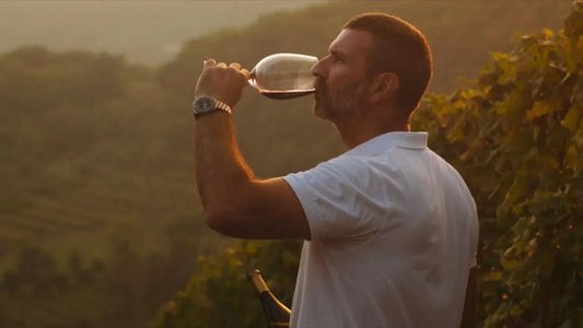 Botticino DOC: quando l’aria pedecollinare fa la differenza