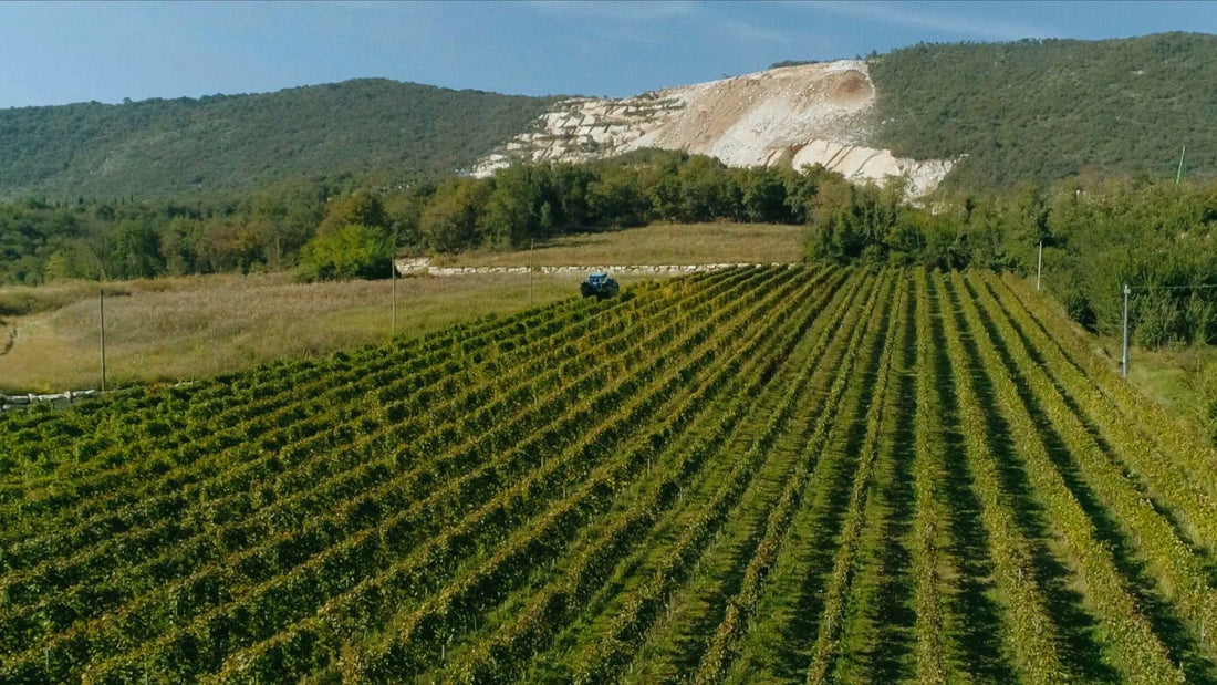 Vini minerali: l'Influenza delle cave di marmo sul Botticino DOC