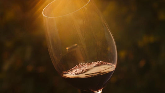 Gli aromi del vino